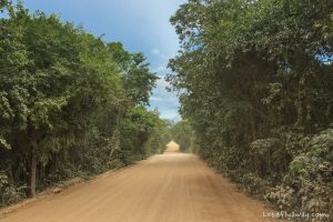 Playa del Carmen with Kids road to cenote dos ojos
