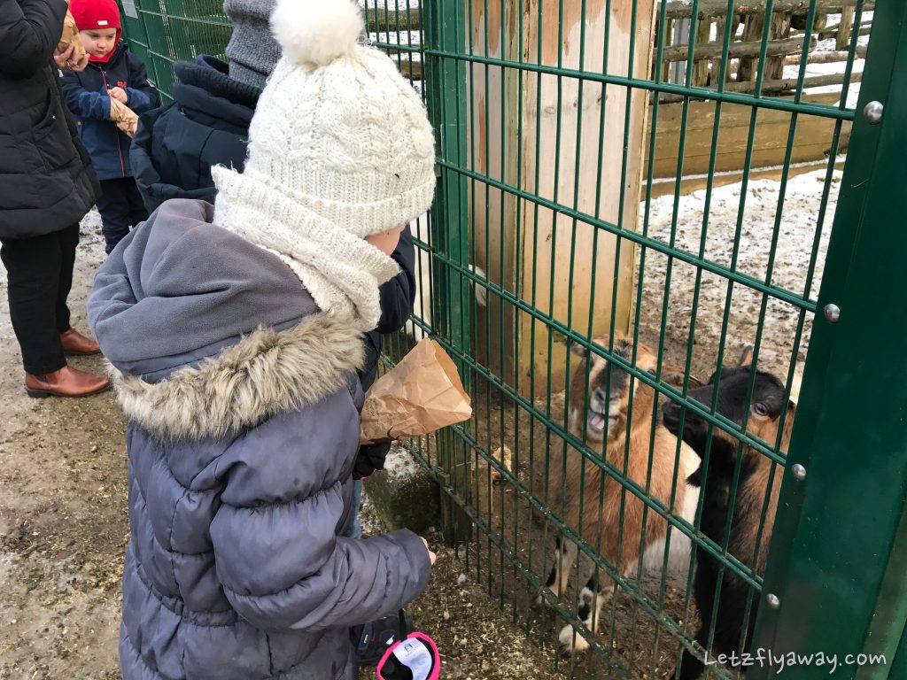 Déirepark Esch Gaalgebierg children feeding animals