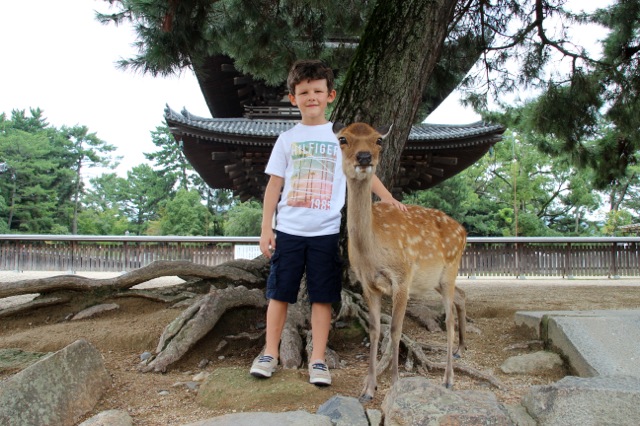 Osaka with kids