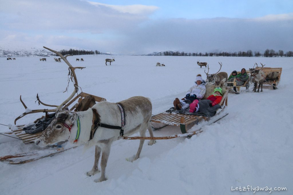 Tromso with Kids Arctic Reindeer Sledding