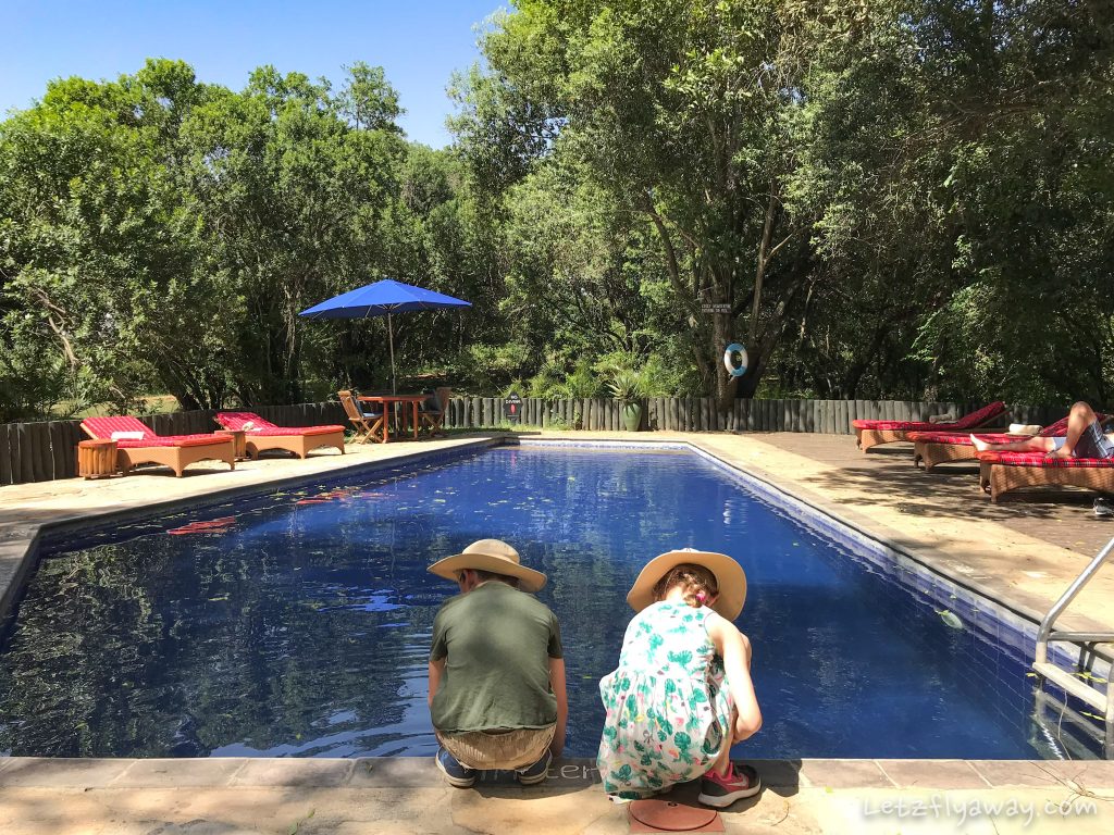 Kempinski Olare Mara Pool