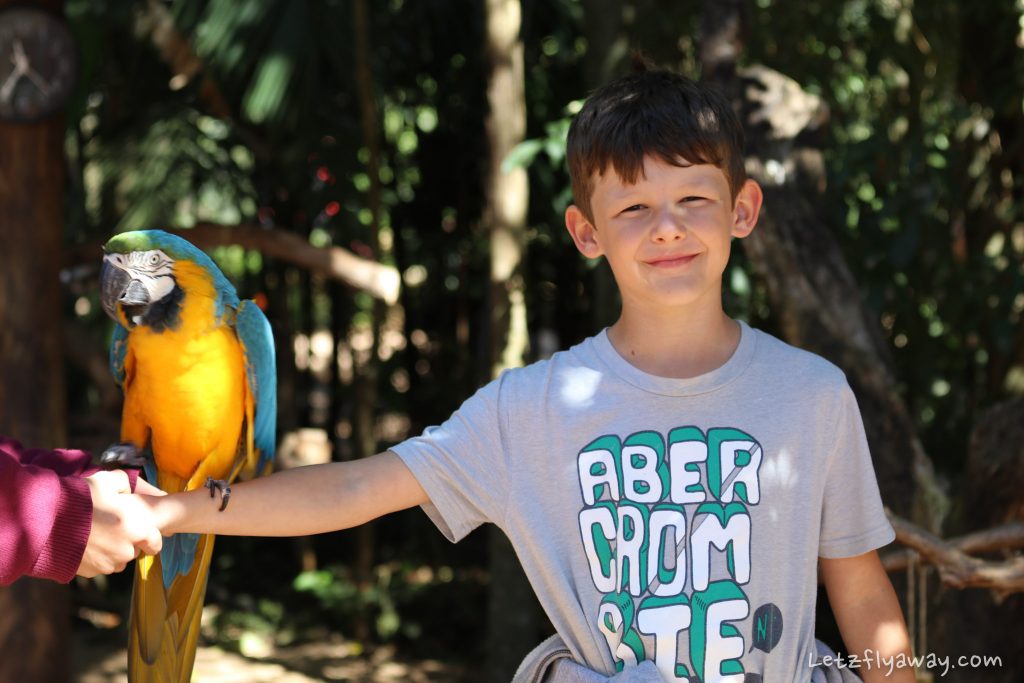 parque das aves with kids