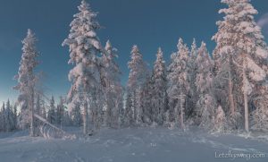 levi winter wonderland