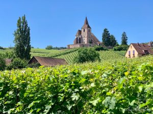 A weekend in Alsace